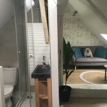 Atypiques Centre Historique Lejlighed *