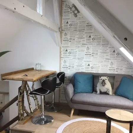 Atypiques Centre Historique Apartment *