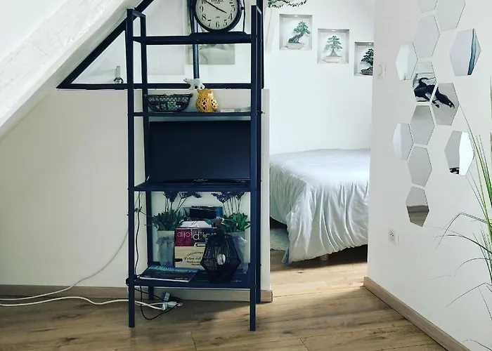 Atypiques Centre Historique Apartament