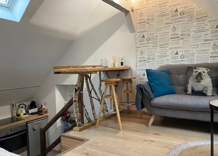 Atypiques Centre Historique Apartament Dijon