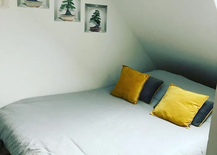 Apartament Atypiques Centre Historique Dijon