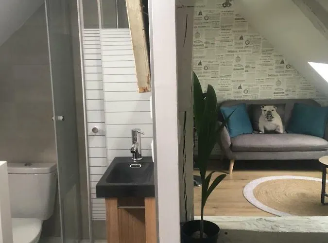 Atypiques Centre Historique Appartement *